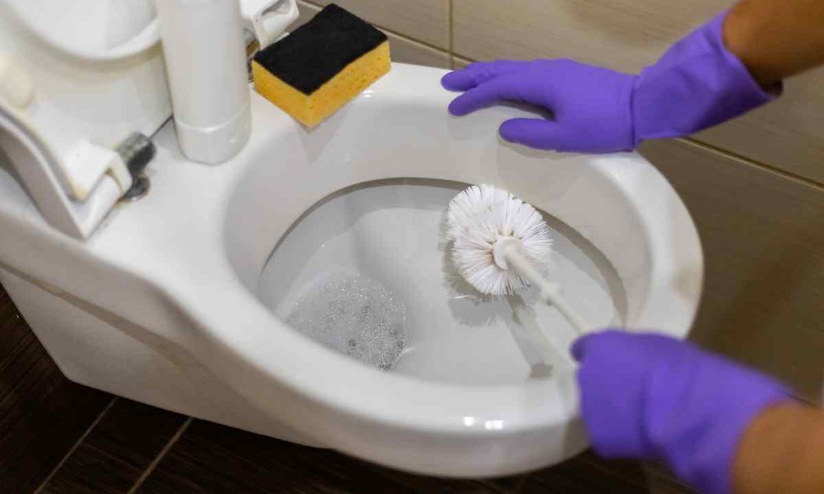 Allarme batteri in bagno, milioni escono dal WC e dal lavandino col caldo