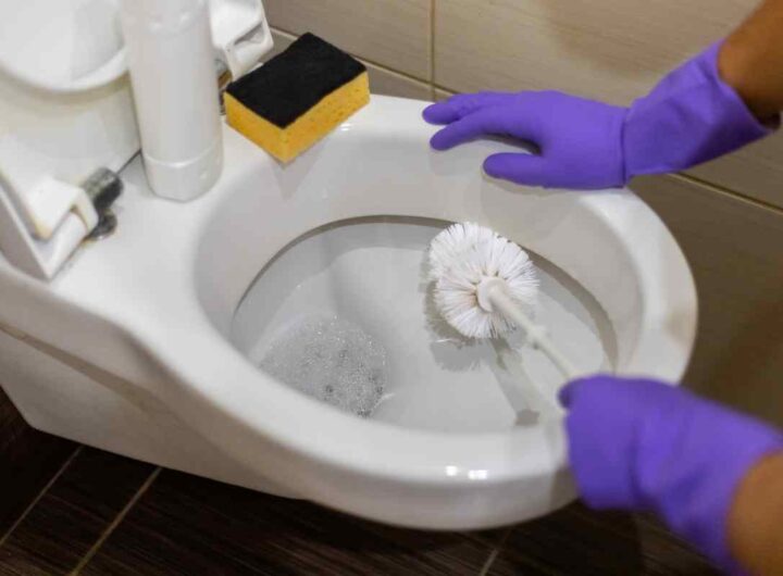 Allarme batteri in bagno, milioni escono dal WC e dal lavandino col caldo