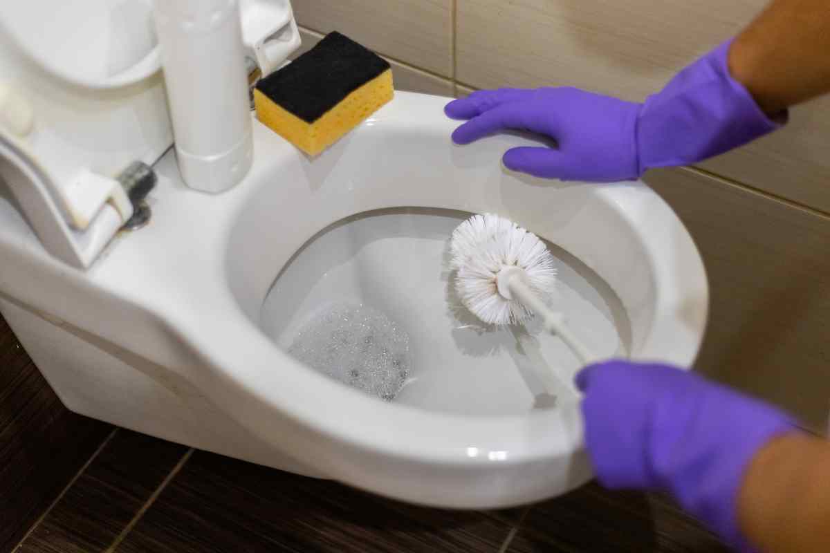 Allarme batteri in bagno, milioni escono dal WC e dal lavandino col caldo