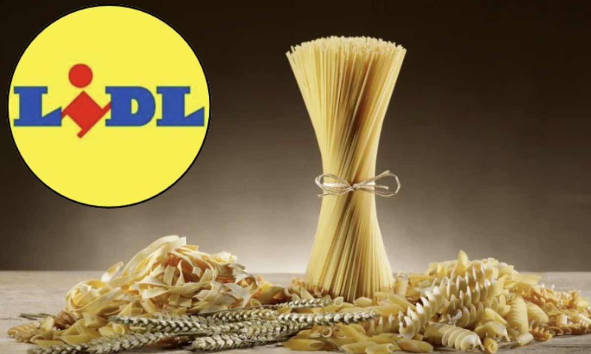 Fondata in Germania negli anni ’30, la catena Lidl ha saputo trasformarsi in un colosso della grande distribuzione attraverso un modello di business