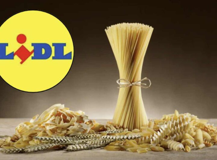 Fondata in Germania negli anni ’30, la catena Lidl ha saputo trasformarsi in un colosso della grande distribuzione attraverso un modello di business