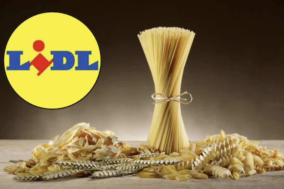 Fondata in Germania negli anni ’30, la catena Lidl ha saputo trasformarsi in un colosso della grande distribuzione attraverso un modello di business