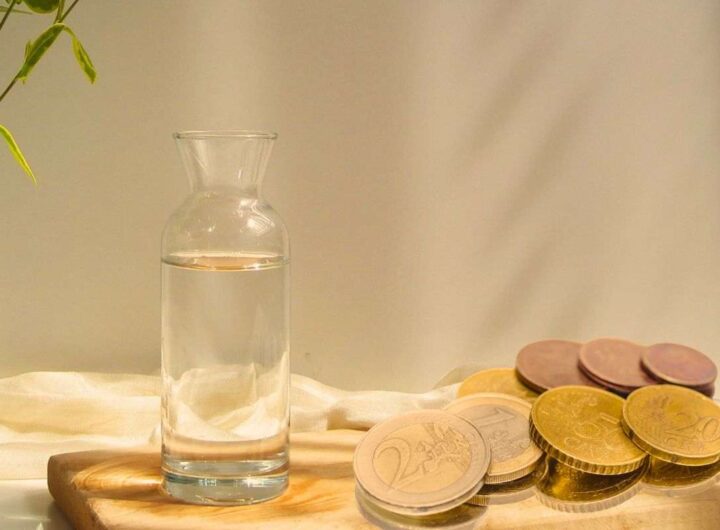 monete e acqua: a cosa servono?